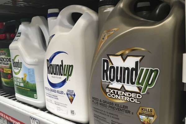 FILE - Containers of Roundup sit on a store shelf on Feb. 24, 2019, in San Francisco. A European Union decision on whether to authorize the use of the controversial chemical herbicide glyphosate in the 27-nation bloc for at least 10 more years was delayed for a month after member countries failed to agree on Friday Oct. 13, 2023. Over the past decade, glyphosate, used in products like the weedkiller Roundup, has been at the heart of heated scientific debate about whether it causes cancer and its possible disruptive effect on the environment. (AP Photo/Haven Daley, File)