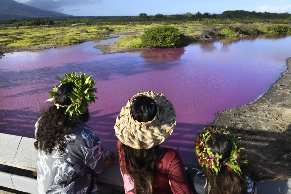Shad Hanohano, from left, Leilani Fagner and their daughter Meleana Hanohano view the pink water at the Kealia Pond National Wildlife Refuge in Kihei, Hawaii on Wednesday, Nov. 8, 2023. Officials in Hawaii are investigating why the pond turned pink, but there are some indications that drought may be to blame. (Matthew Thayer/The Maui News via AP)