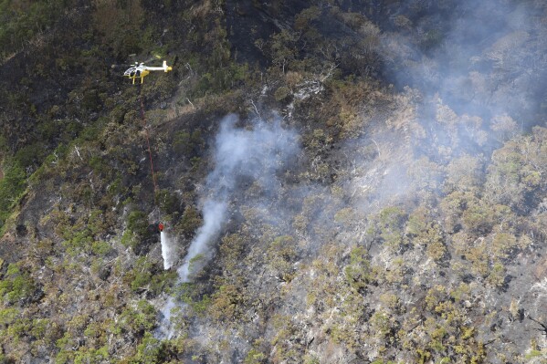This photo provided by the Hawaii Department of Land and Natural Resources shows a helicopter dropping water on a wildfire burning east of Mililani, Hawaii, on Thursday, Nov. 2, 2023. A wildfire that has burned forestlands in a remote mountainous area of Central Oahu has moved eastward and away from population centers as firefighters continued to battle the blaze. (Dan Dennison/Hawaii Department of Land and Natural Resources via AP)